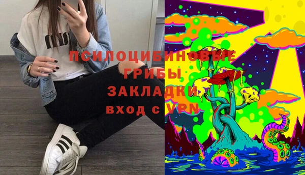 бошки Медногорск