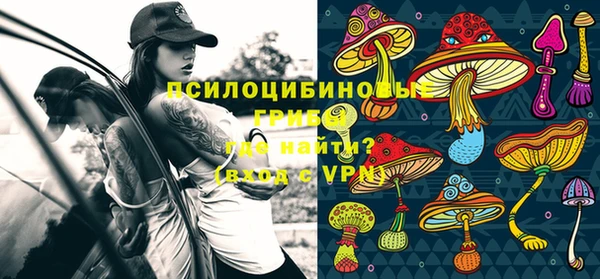 бошки Медногорск