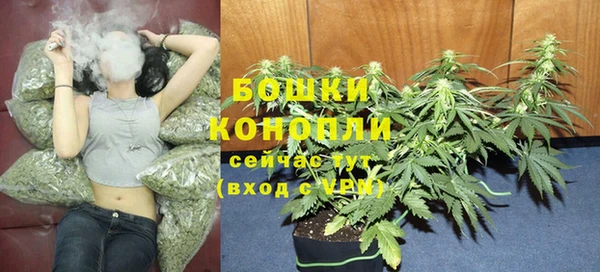 бошки Медногорск