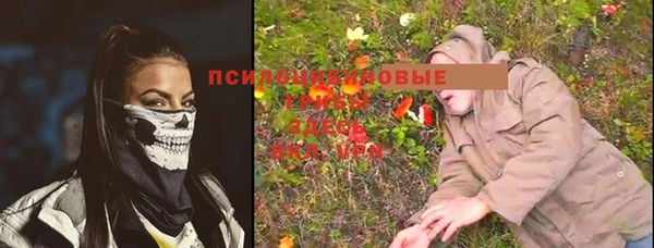 стаф Медвежьегорск